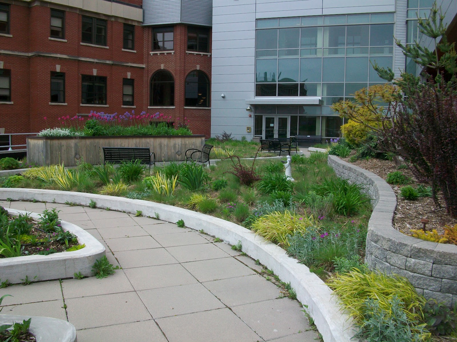 Edible Skyline A Rooftop Revolution in Milwaukee Rooftop Gardens in